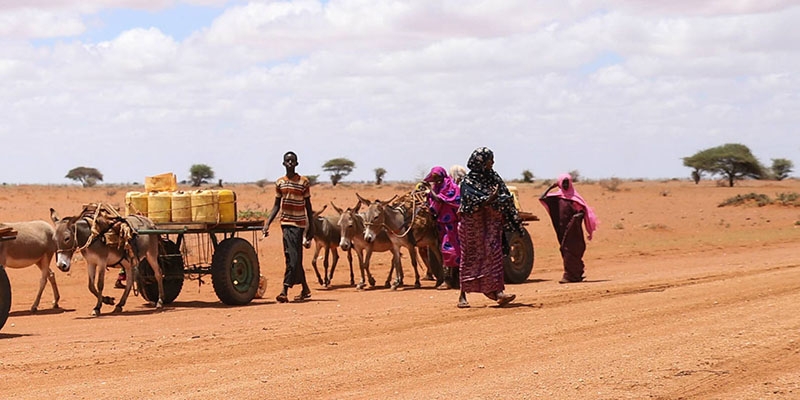 In Kenya, a family searches for water. 