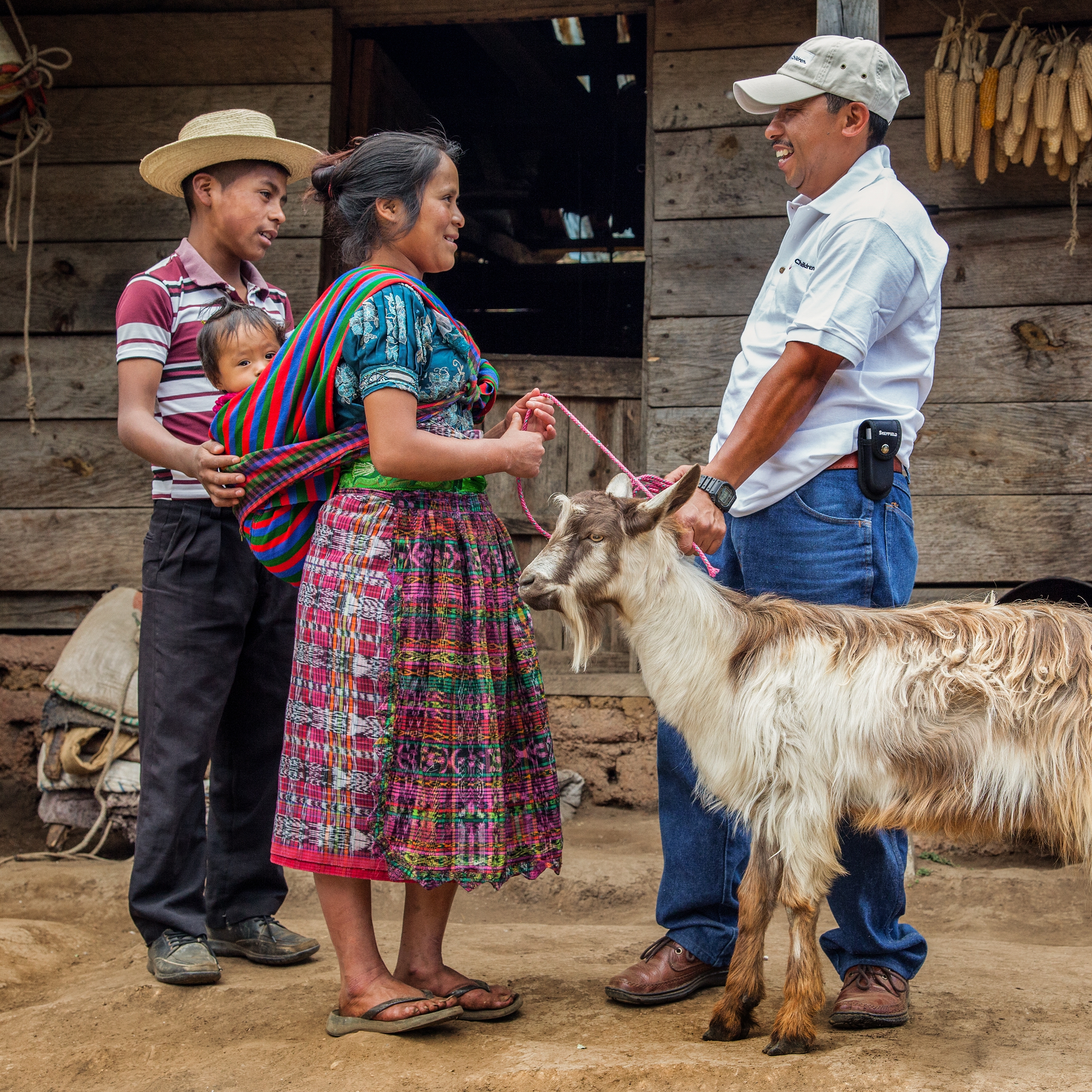 Goat Farming in Nebaj, Guatemala. Photo Credit: Jordan J. Hay 2015
