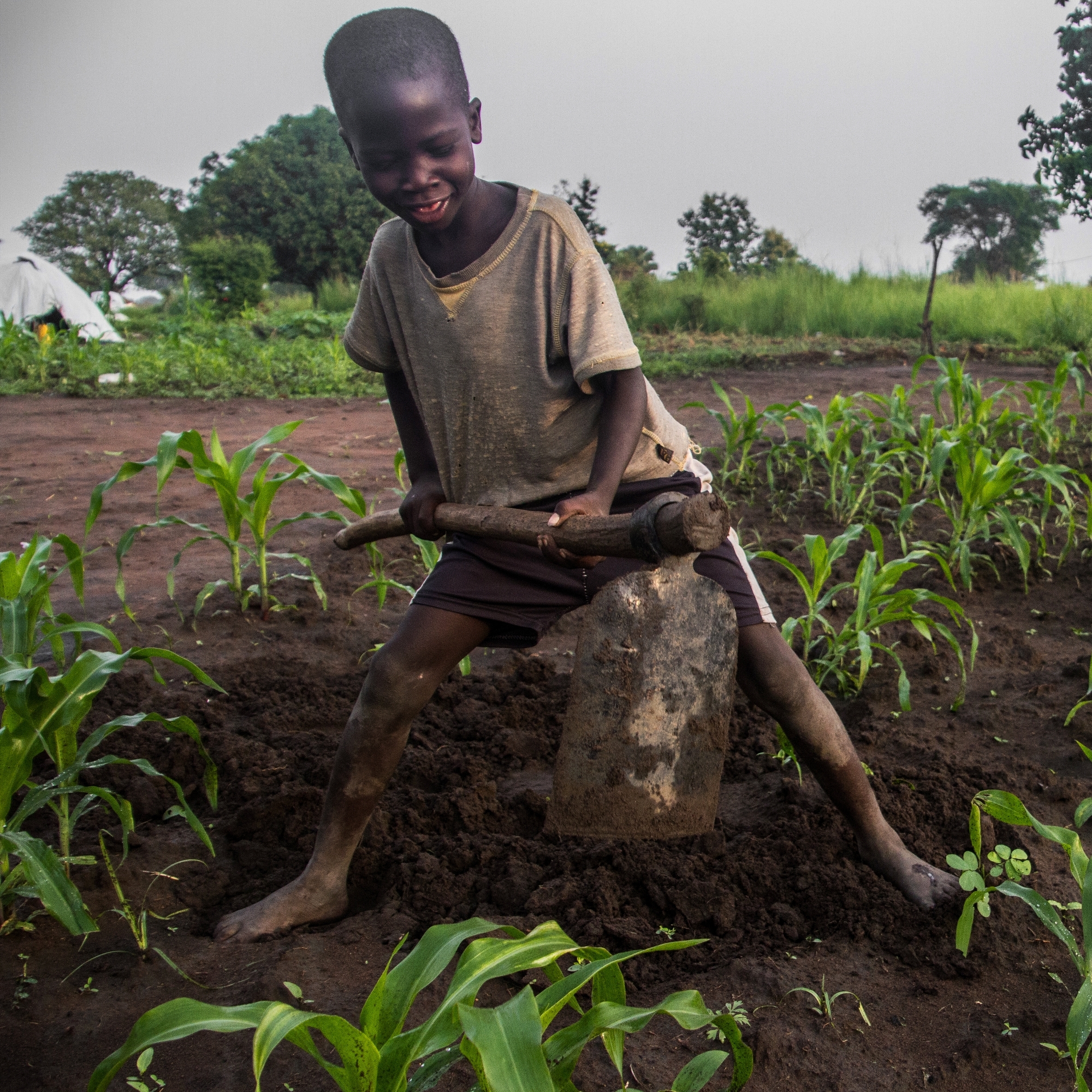 Joseph* digs on his family's small plot of land where they have planted maize. He lives in Boroli Camp, Uganda, where he attends Save the Children's child-friendly space. Photo Credit: Mark Kaye/Save the Children 2014.