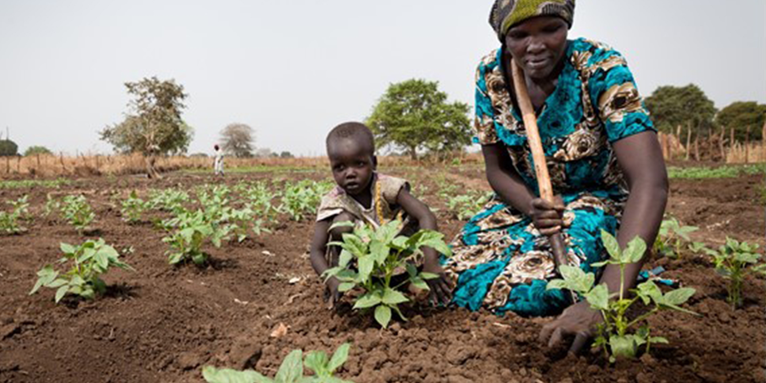 A mother and her child plant crops in a field