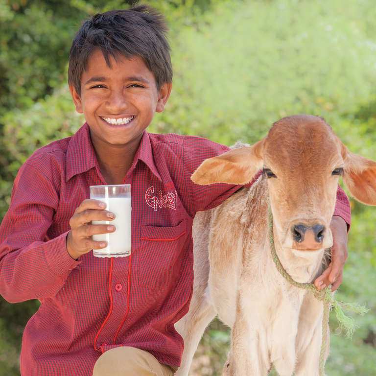 A boys holds a glass of milk while standing with his arm around a small goat.