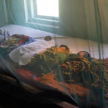 Babies sleeping under protective mosquito nets 