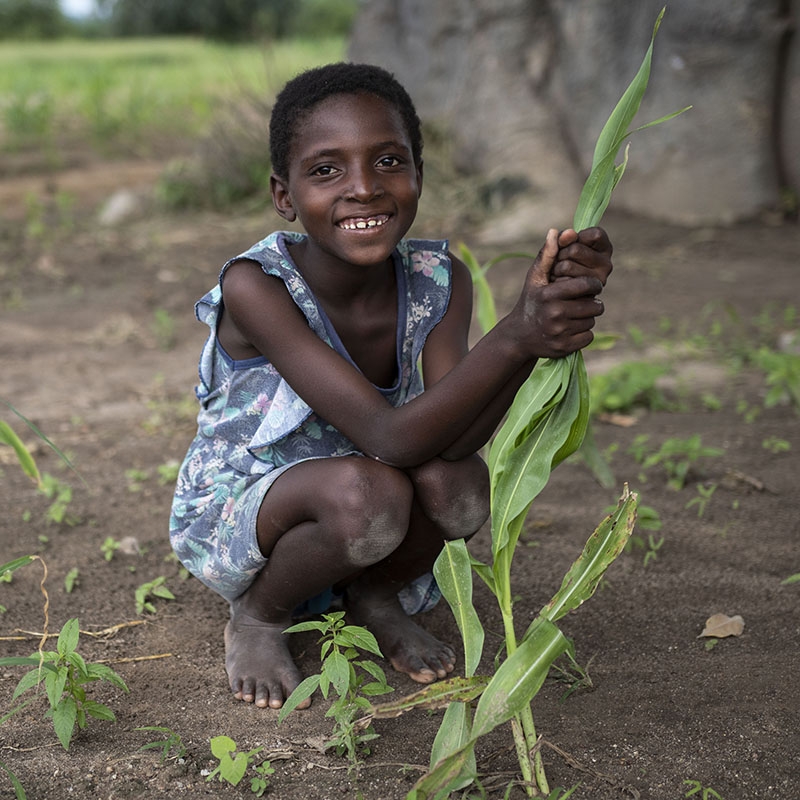 A young girl in Zimbabwe who has been effected by the food crisis due to climate-related disasters in her country.