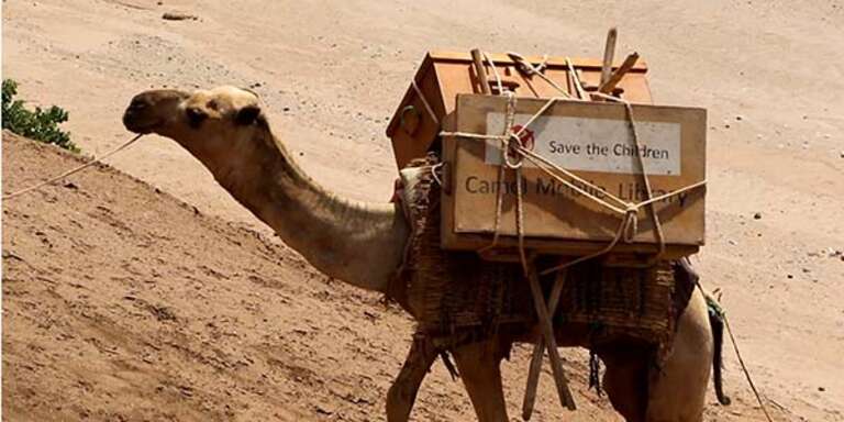 A camel walks with a pack of books on its back. 