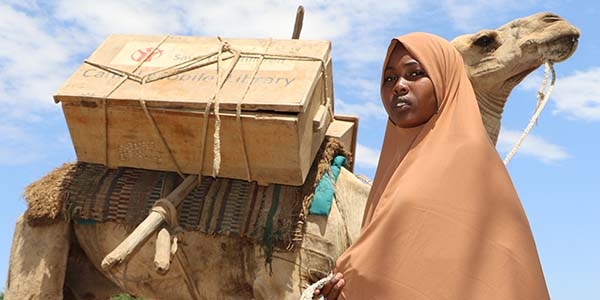 A girl in Ethiopia stands next to a camel carrying books as part of a mobile camel library. 