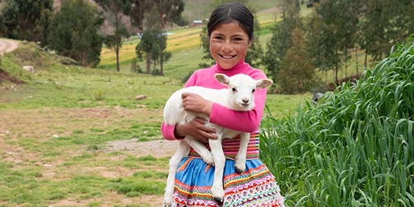 A young girl holds a small goat and smiles while standing in a lush green field.