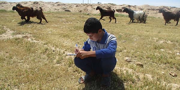 Syria, a boy in a blue shirt, studies in a field to in hopes to become a teacher