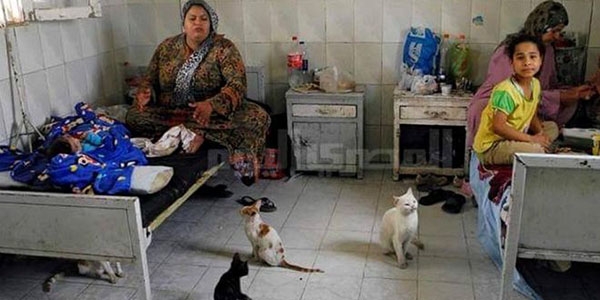 A woman and her child sit on run-down hospital beds surrounded by stray cats. Public health care systems in many countries like Egypt continue to be plagued by poor adherence to proper hygiene standards and the devastating consequences that result.