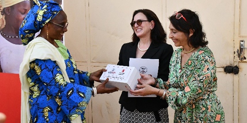 Niger, photo of handover of the medical equipment and supplies. 