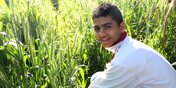 Ahmed working in his family’s farm in Egypt.