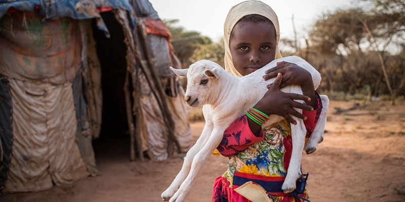 A little girl holding a baby goat looks at the camera.