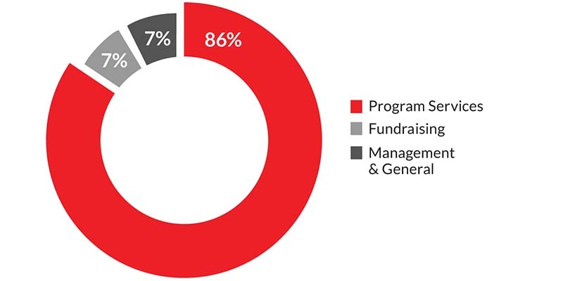 A pie chart showing Save the Children's financial information.