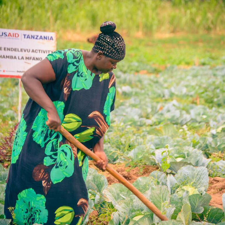 woman tending her crops