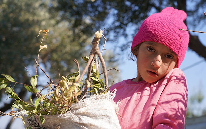 Lamis,* 8, collects firewood to help her family in Idlib, Syria.