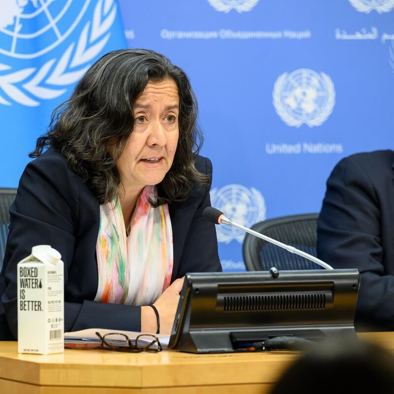 Save the Children US President and CEO Janti Soeripto speaks at a U.N. Press Briefing on Afghanistan