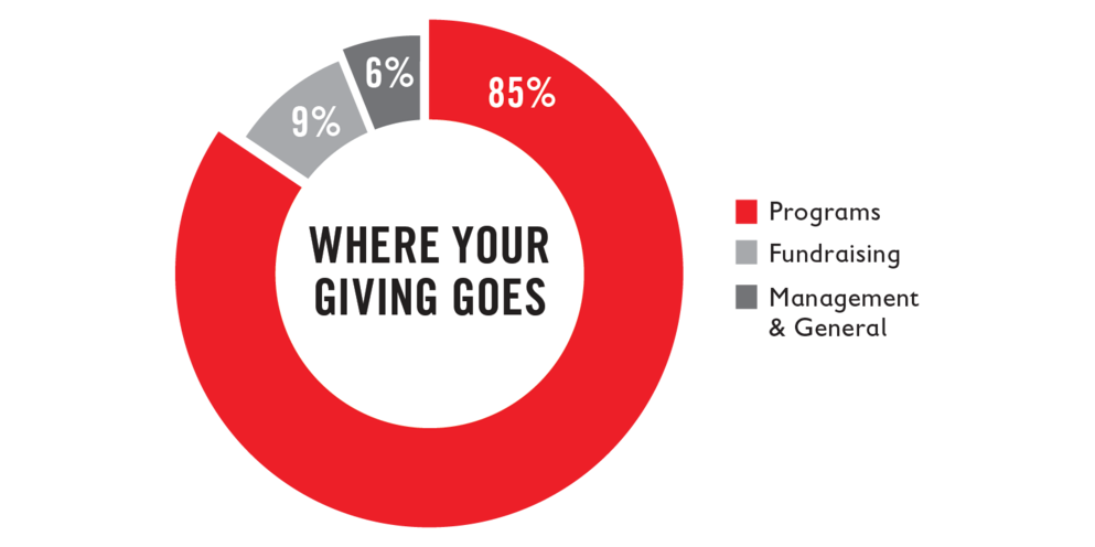 Charity Donation Breakdown Pie Chart: 85% program expenditures,  9% fundraising, 6% management