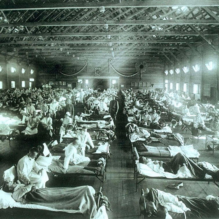This image from Wikimedia Commons, sourced from Pandemic Influenza: The Inside Story, depicts an row after row of patients in beds at an emergency military hospital in Camp Funston, Kansas, during an influenza epidemic in 1918 or 1919. Image credit: courtesy of the National Museum of Health and Medicine, Armed Forces Institute of Pathology, Washington, D.C., United States.